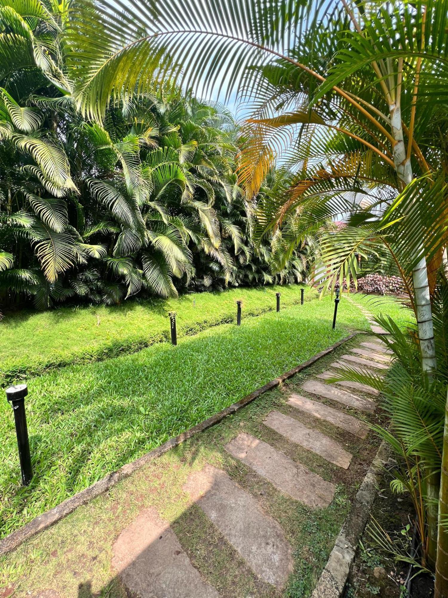 Coorg Nesara Hotel And Resort Kushālnagar Kültér fotó
